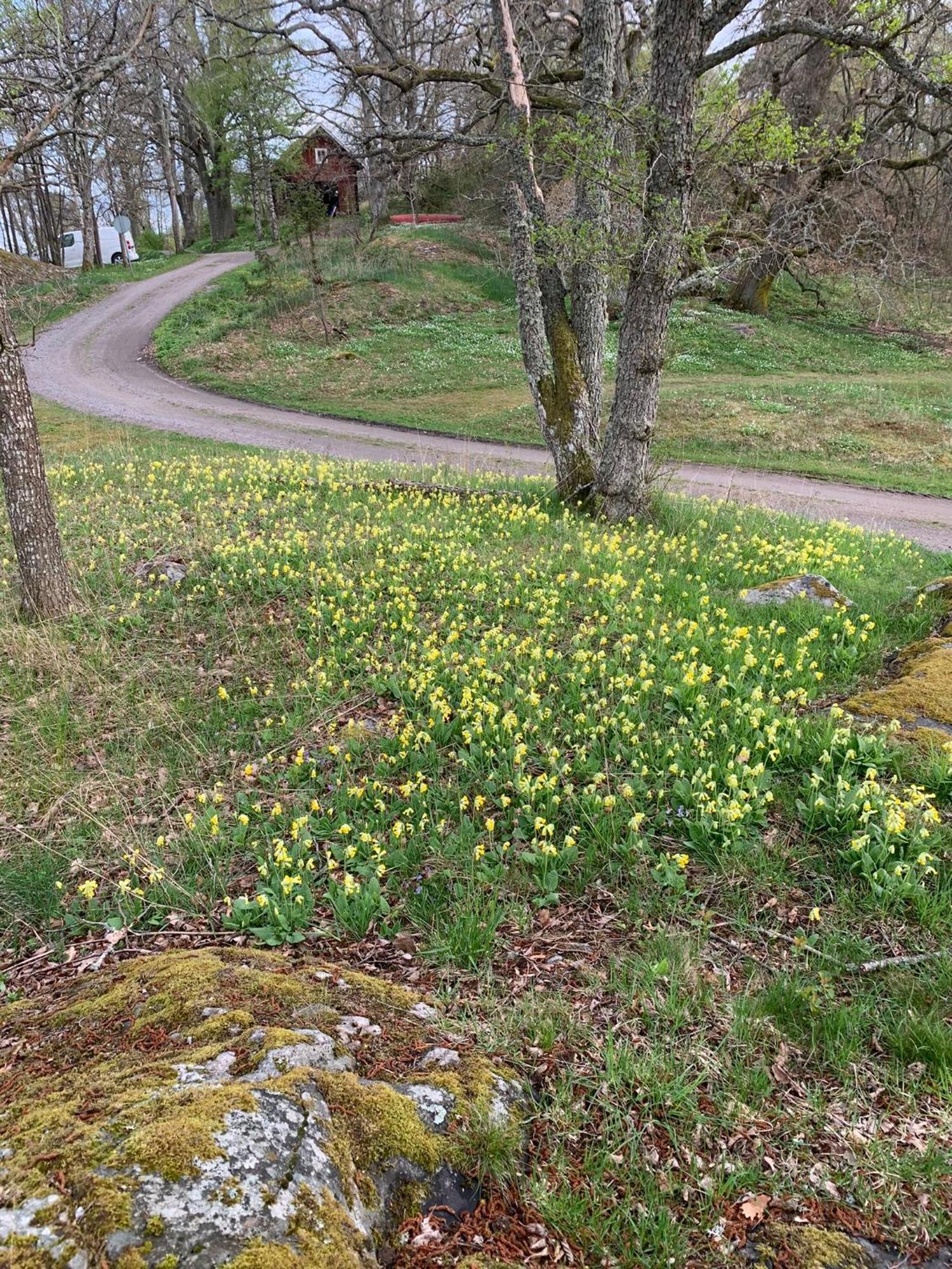 Karlshamn 1 Sankt Anna Soederkoeping Vila Exterior foto